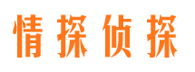 金城江市私家侦探